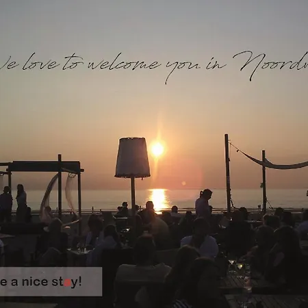 Have A Stay! - Silt14 Sfeervol