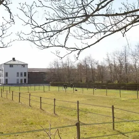 Have A Stay! - Silt14 Sfeervol نوردفيك