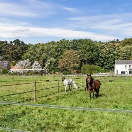 Have A Stay! - Silt14 Sfeervol