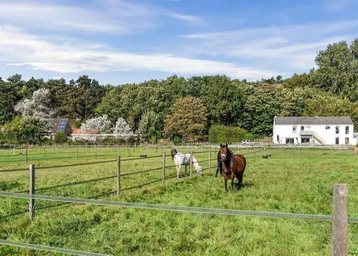 Have A Stay! - Silt14 Sfeervol